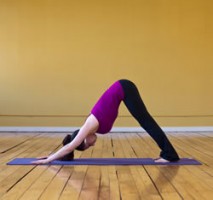 Downward-Facing-Dog-250