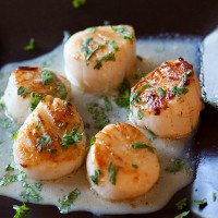 garlic-scallops