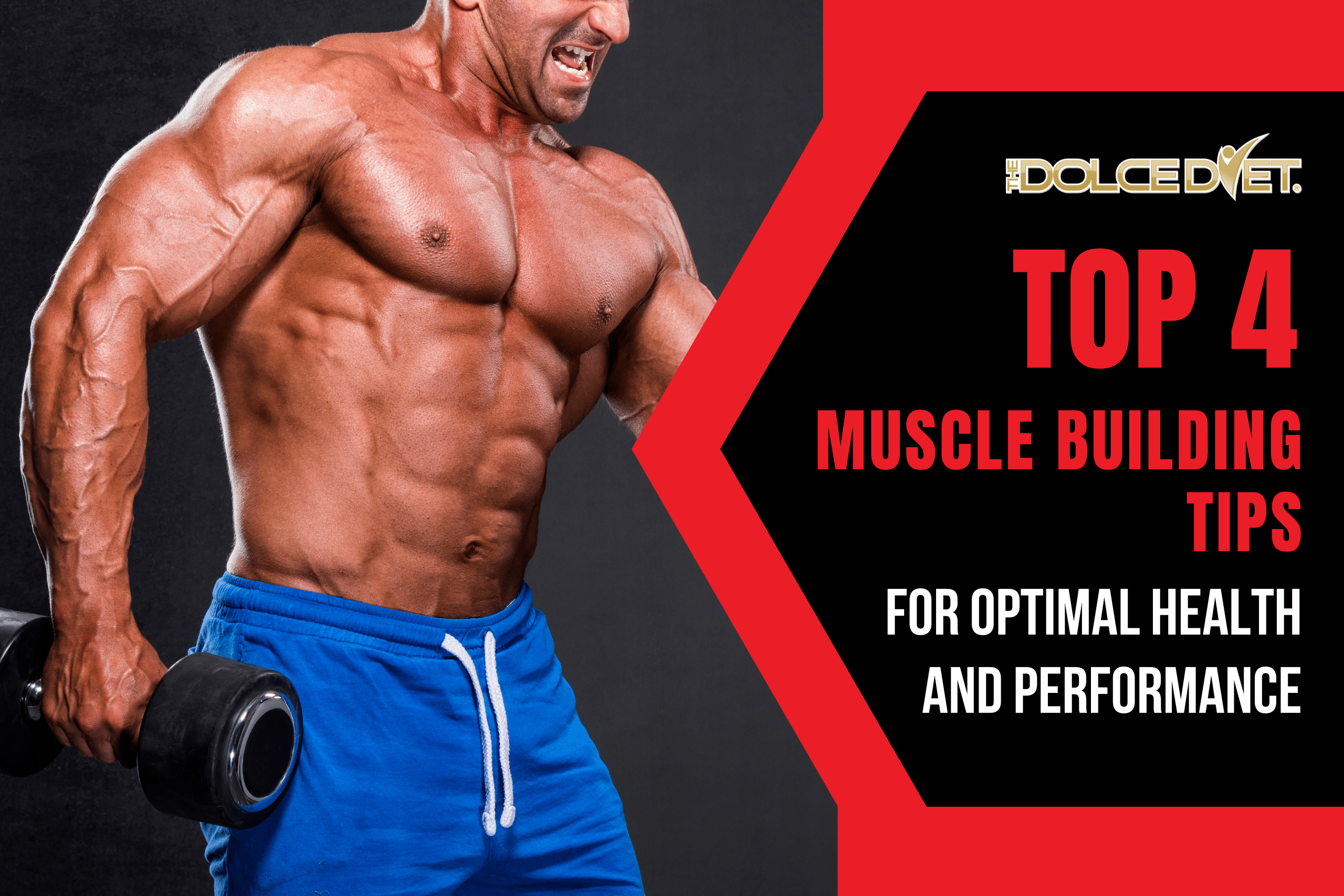 Top 4 Muscle Building Tips for Optimal Health and Performance